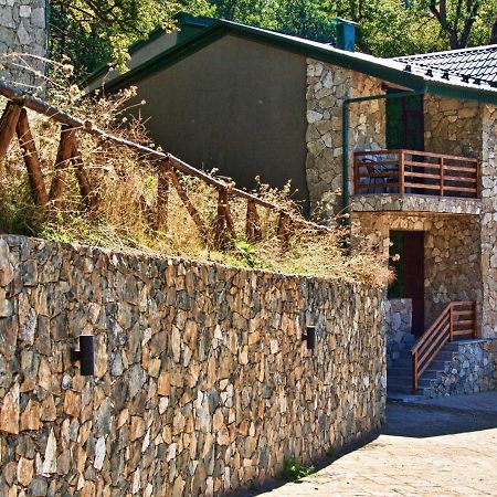 Dilijan Villa 12 Exteriör bild